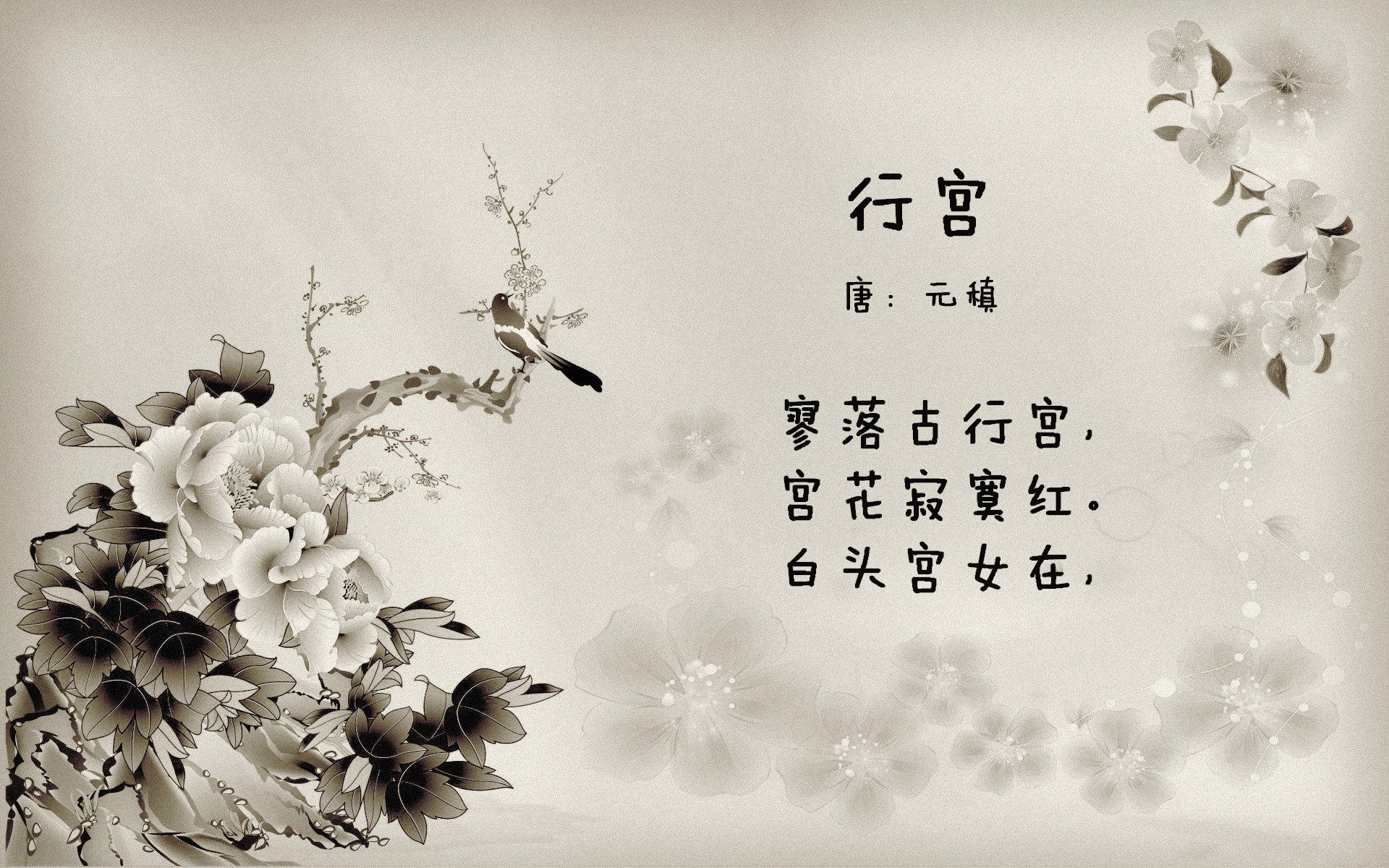 中国三人篮球女队进攻火力全开,中国三人篮球女队员名单