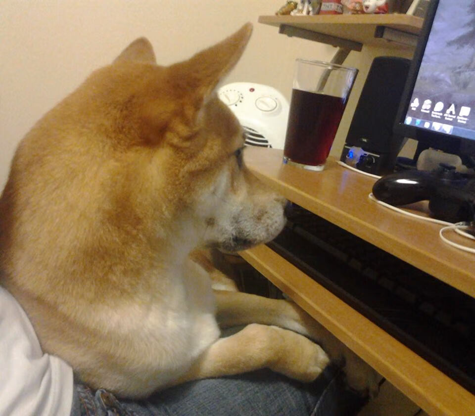 前场围抢成功助力闪电破门,前场抢断